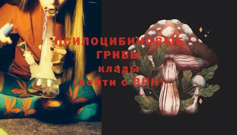 Псилоцибиновые грибы Psilocybe  где можно купить   Коломна 